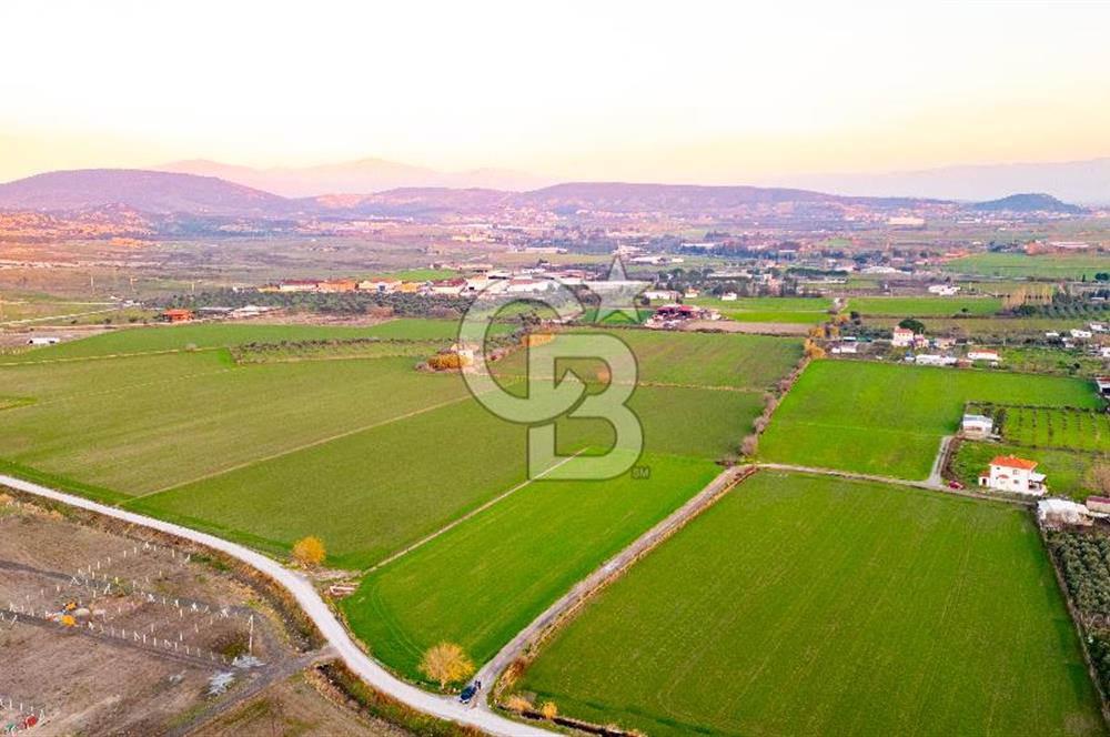 Foça Bağarası Hacıveli Mahallesinde Satılık Tarla