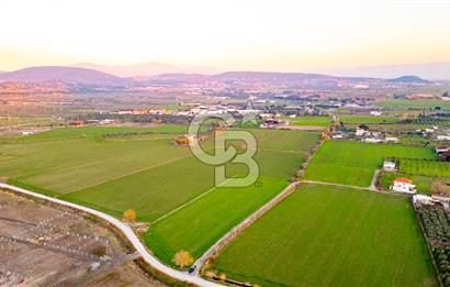 Foça Bağarası Hacıveli Mahallesinde Satılık Tarla