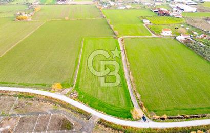 Foça Bağarası Hacıveli Mahallesinde Satılık Tarla