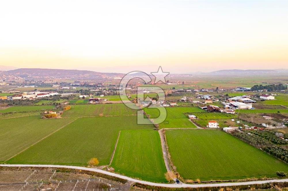 Foça Bağarası Hacıveli Mahallesinde Satılık Tarla