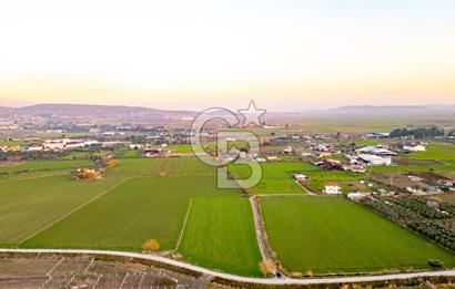 Foça Bağarası Hacıveli Mahallesinde Satılık Tarla