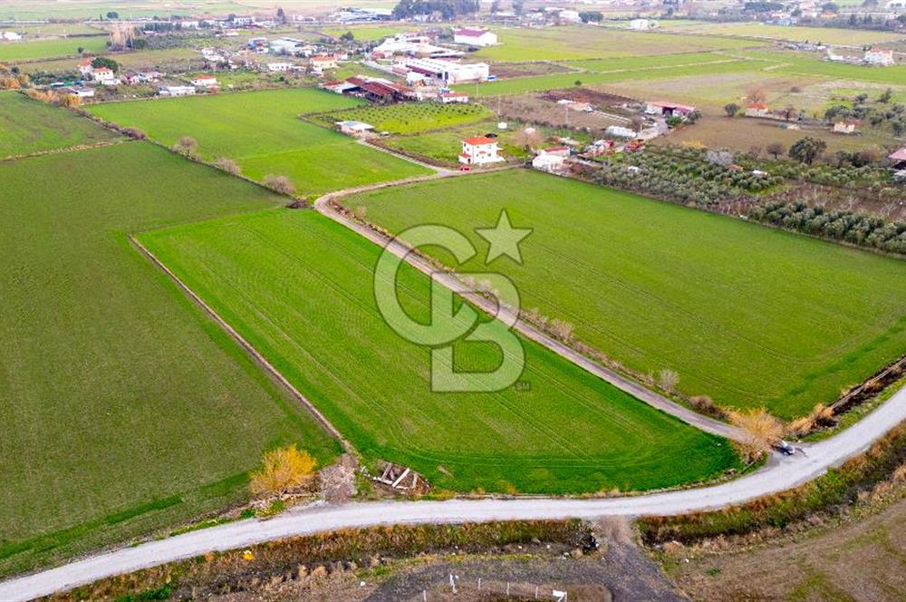 Foça Bağarası Hacıveli Mahallesinde Satılık Tarla