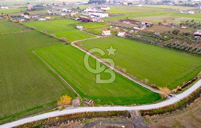 Foça Bağarası Hacıveli Mahallesinde Satılık Tarla