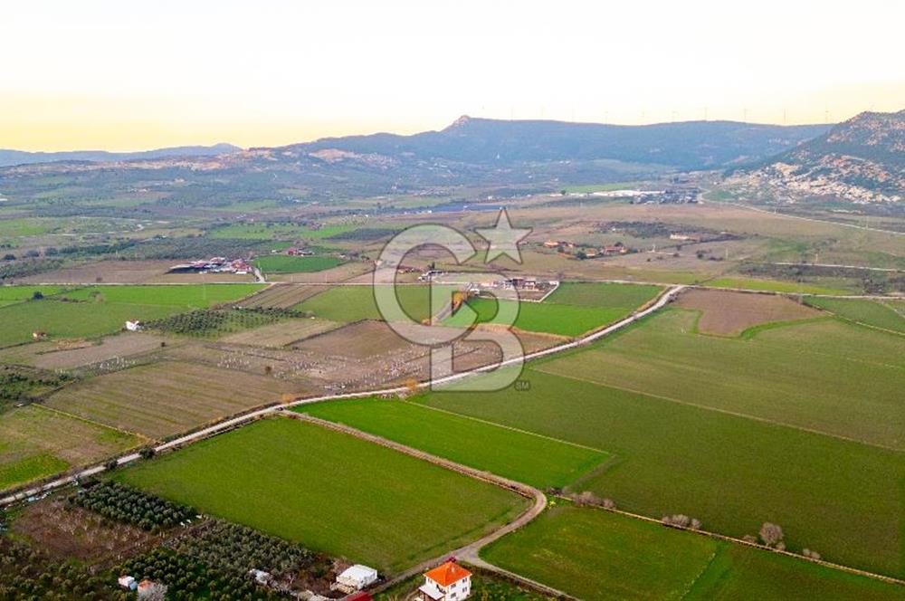 Foça Bağarası Hacıveli Mahallesinde Satılık Tarla