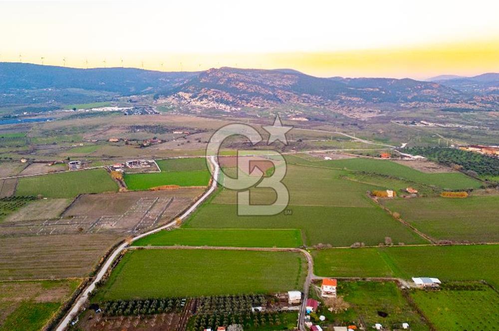 Foça Bağarası Hacıveli Mahallesinde Satılık Tarla