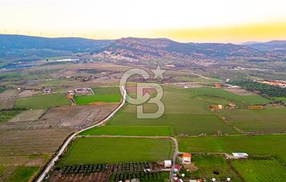 Foça Bağarası Hacıveli Mahallesinde Satılık Tarla
