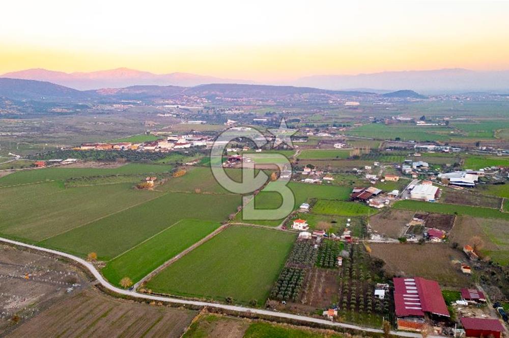 Foça Bağarası Hacıveli Mahallesinde Satılık Tarla