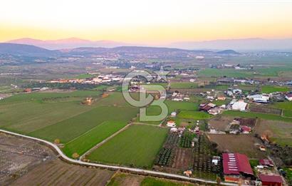 Foça Bağarası Hacıveli Mahallesinde Satılık Tarla