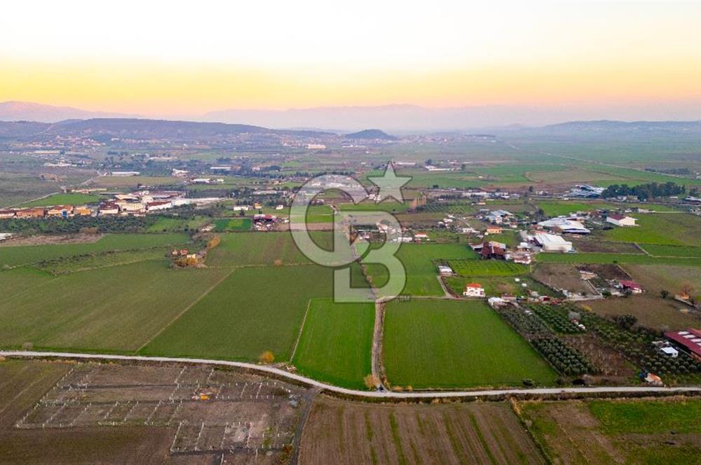 Foça Bağarası Hacıveli Mahallesinde Satılık Tarla