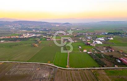 Foça Bağarası Hacıveli Mahallesinde Satılık Tarla