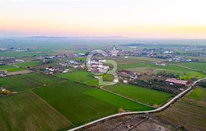 Foça Bağarası Hacıveli Mahallesinde Satılık Tarla