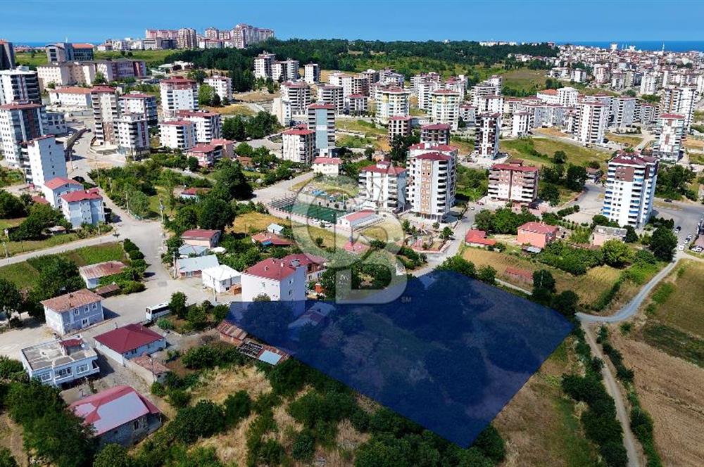 KAT KARŞILIĞI ADA