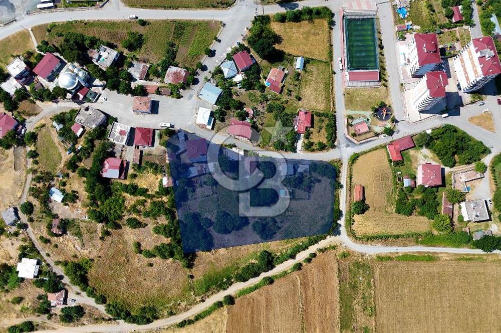 KAT KARŞILIĞI ADA