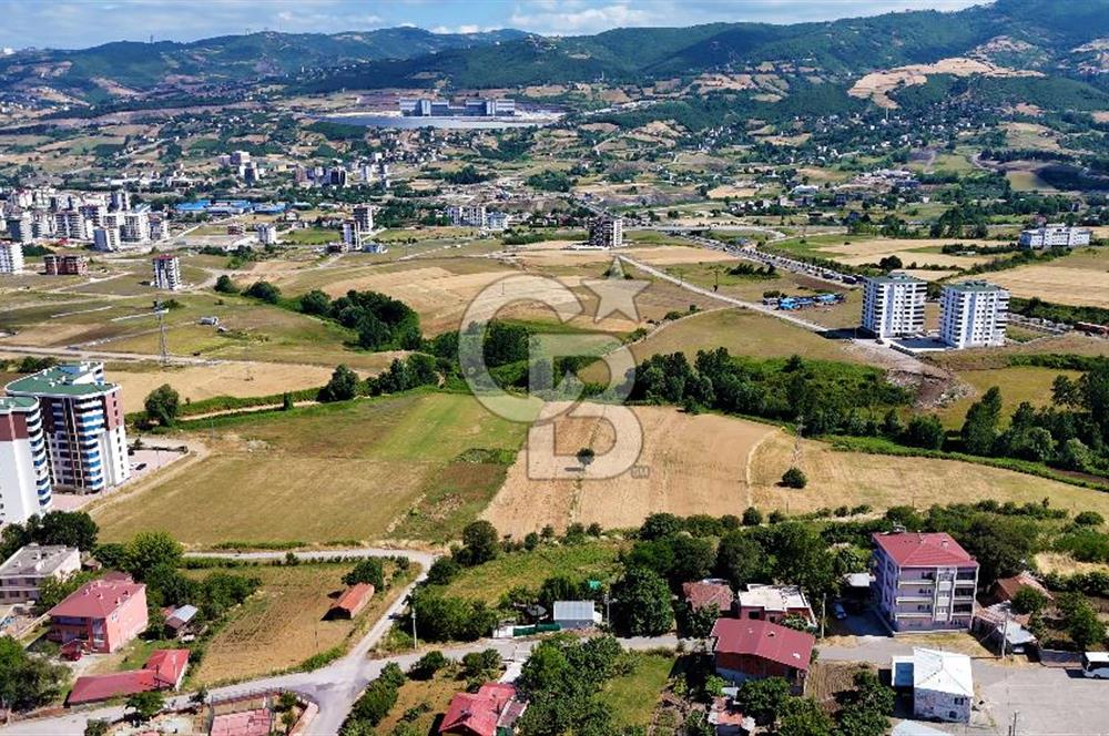 KAT KARŞILIĞI ADA
