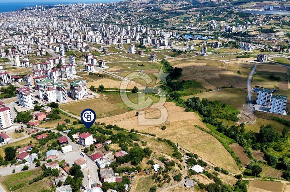 KAT KARŞILIĞI ADA