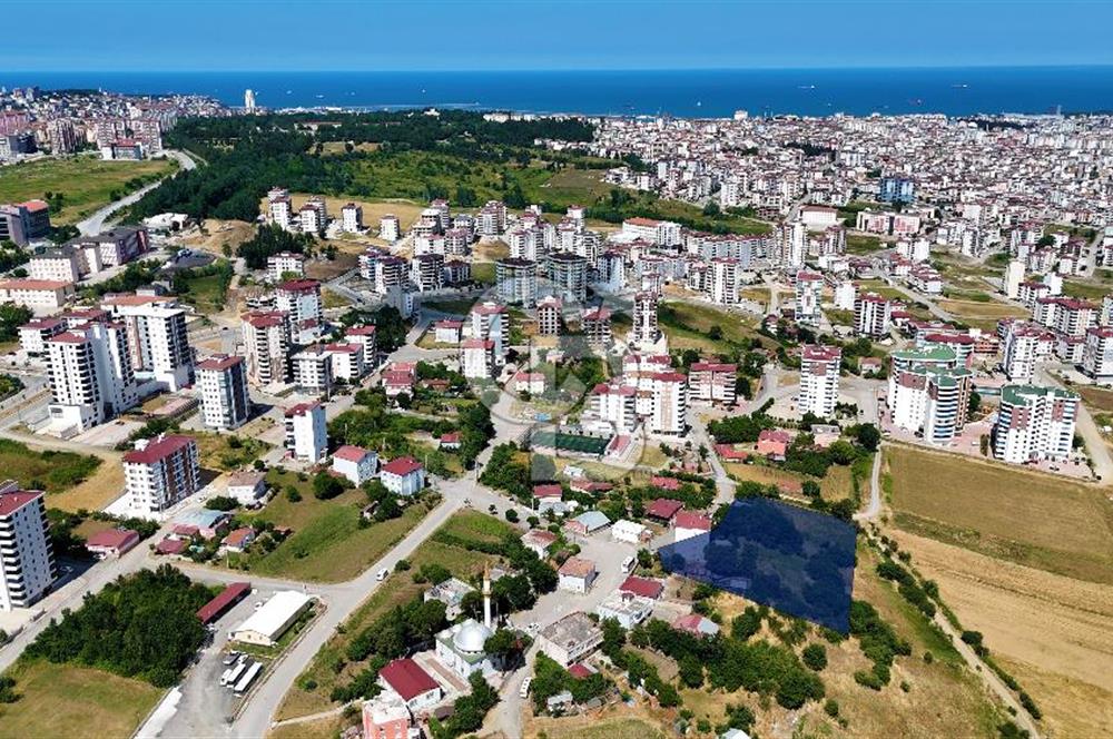 KAT KARŞILIĞI ADA