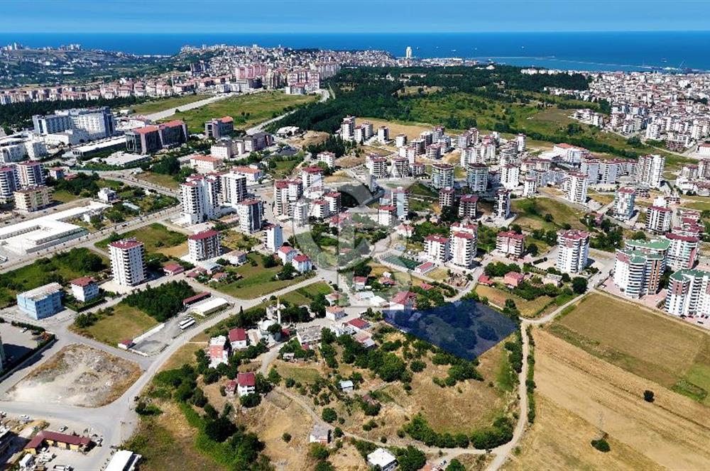KAT KARŞILIĞI ADA