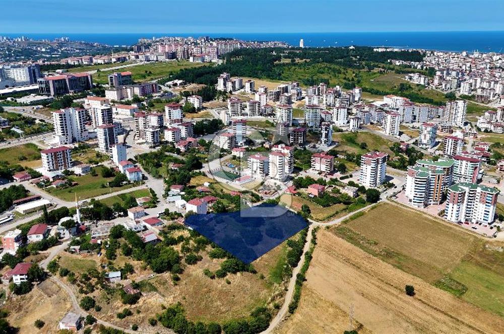 KAT KARŞILIĞI ADA
