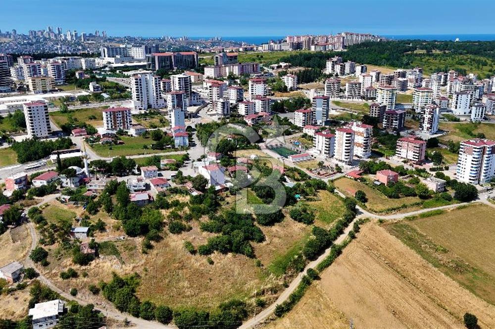KAT KARŞILIĞI ADA