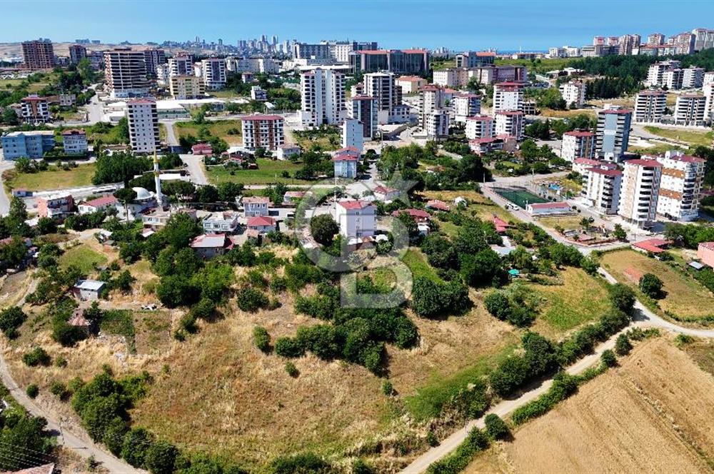 KAT KARŞILIĞI ADA
