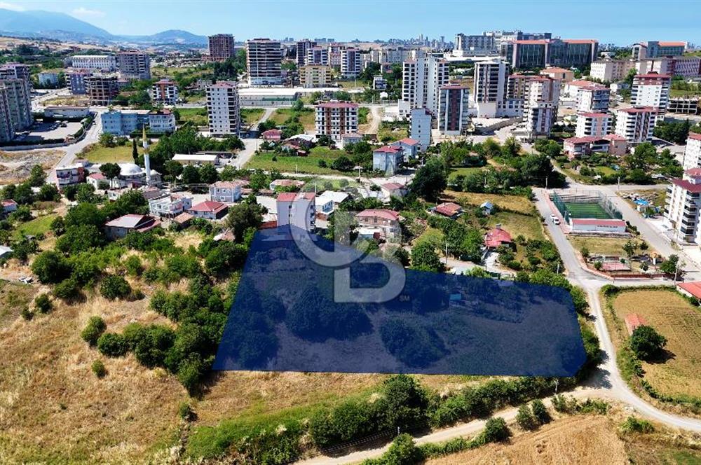KAT KARŞILIĞI ADA