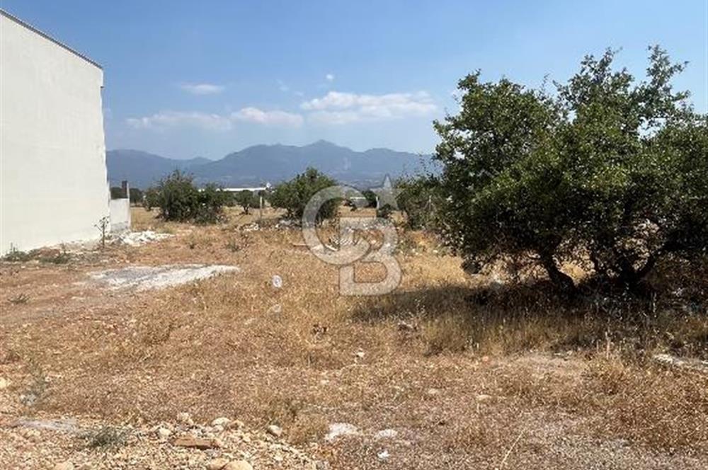 Kemalpaşa Sütçüler'de villa imarlı satılık arsa