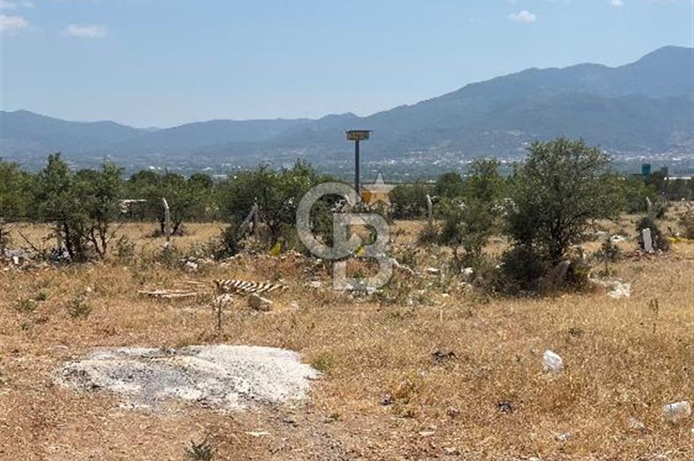 Kemalpaşa Sütçüler'de villa imarlı satılık arsa