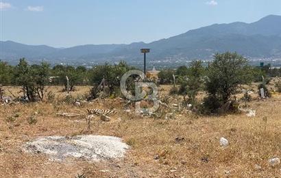 Kemalpaşa Sütçüler'de villa imarlı satılık arsa