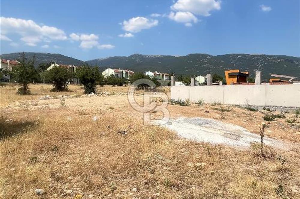 Kemalpaşa Sütçüler'de villa imarlı satılık arsa