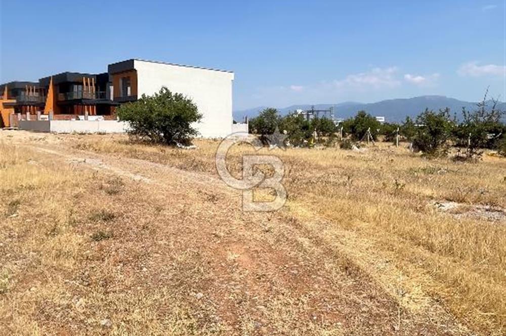 Kemalpaşa Sütçüler'de villa imarlı satılık arsa