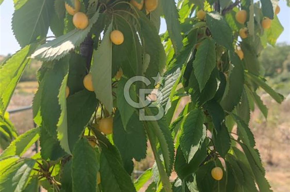 Silivri Değirmen Köyde Yatırım Fırsatı