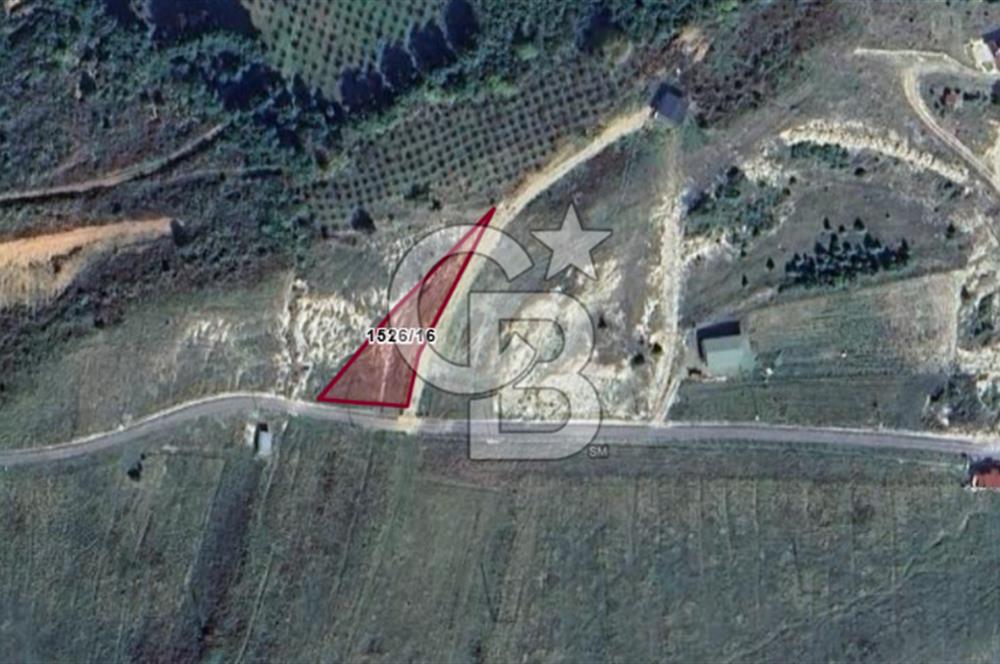ŞİLE KADIKÖY'DE 863 M2 YOLA CEPHELİ MÜSTAKİL SATILIK TARLA