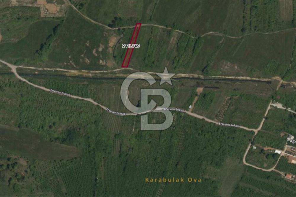 ŞİLE KURFALLI 'DA 1515 M2 YOLA CEPHELİ SATILIK YATIRIMLIK TARLA