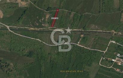ŞİLE KURFALLI 'DA 1515 M2 YOLA CEPHELİ SATILIK YATIRIMLIK TARLA