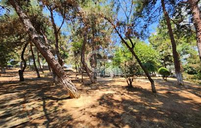 GÖZTEPE SOYAK SİTESİNDE SATILIK 5+1 DUBLEKS DAİRE