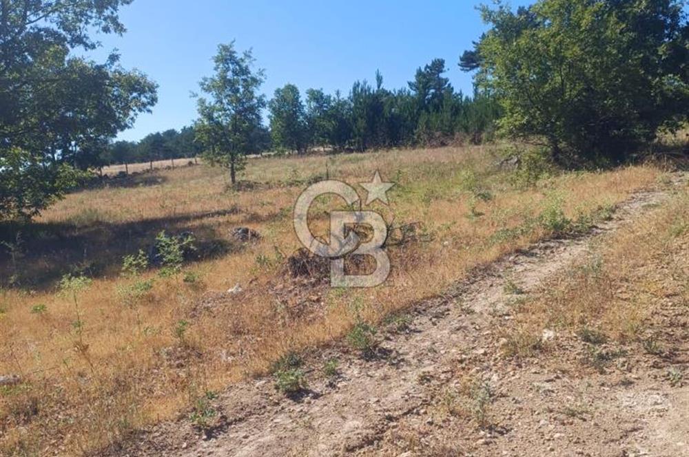 Balıkesir Durusbeyde köydibi düz arazi