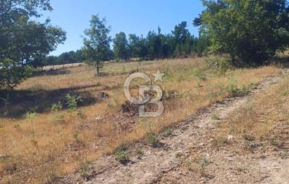Balıkesir Durusbeyde köydibi düz arazi