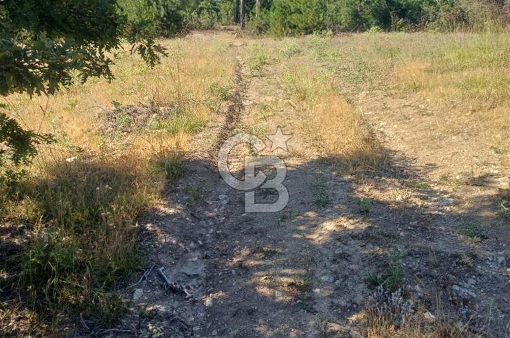 Balıkesir Durusbeyde köydibi düz arazi