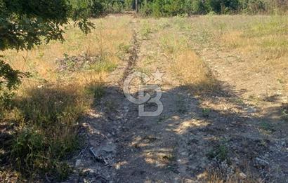 Balıkesir Durusbeyde köydibi düz arazi