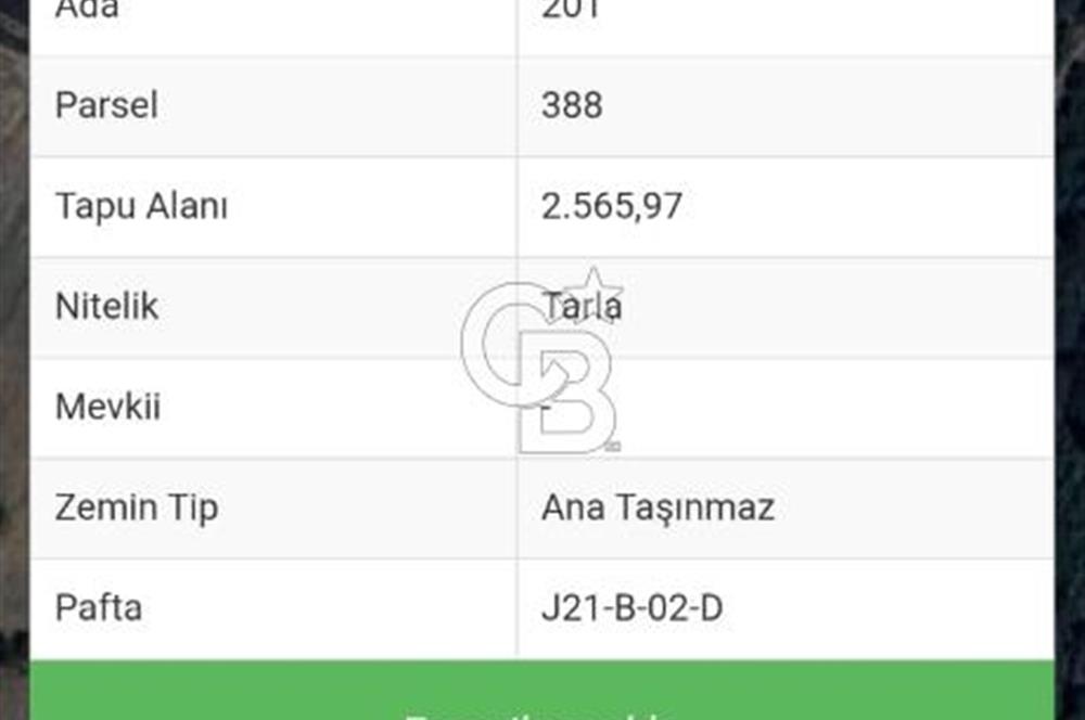Balıkesir Durusbeyde köydibi düz arazi