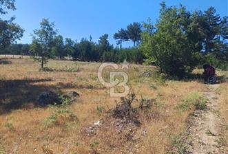 Balıkesir Durusbeyde köydibi düz arazi