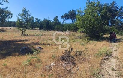 Balıkesir Durusbeyde köydibi düz arazi