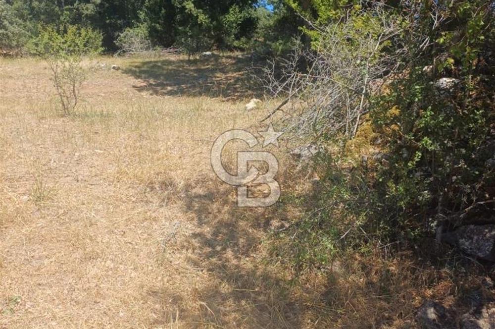 OSB ye 10 dk mesafede köydibi düz arazi