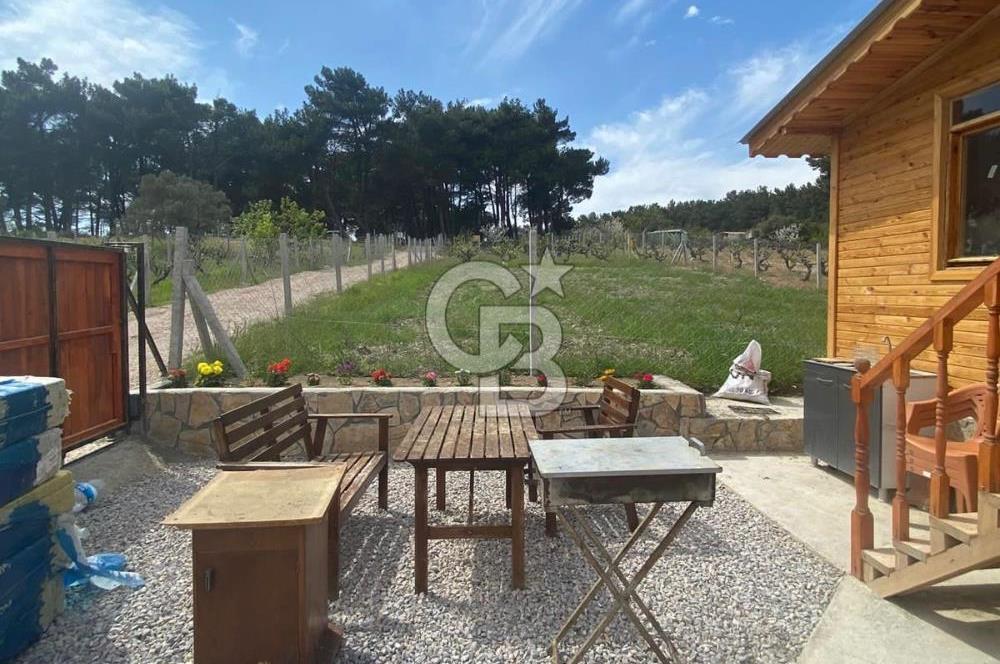 MUSELAND - YAKAKÖY’DE TAPULU BUNGALOVLU ARAZİ