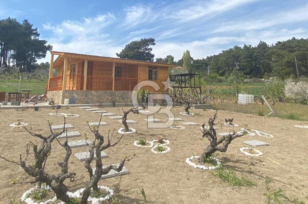 MUSELAND - YAKAKÖY’DE TAPULU BUNGALOVLU ARAZİ