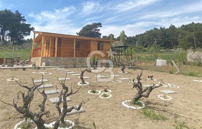 MUSELAND - YAKAKÖY’DE TAPULU BUNGALOVLU ARAZİ