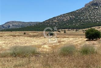 ANTALYA Korkuteli Bozova da yatırımlık arazi