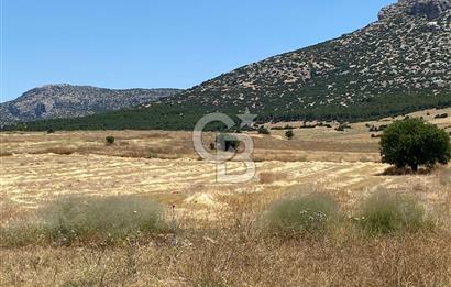 ANTALYA Korkuteli Bozova da yatırımlık arazi