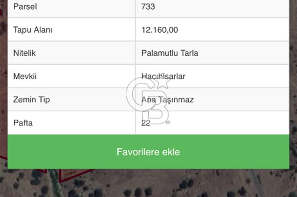 Manisa köprü başı köydibi çiftlik arazisi