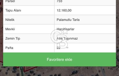 Manisa köprü başı köydibi çiftlik arazisi